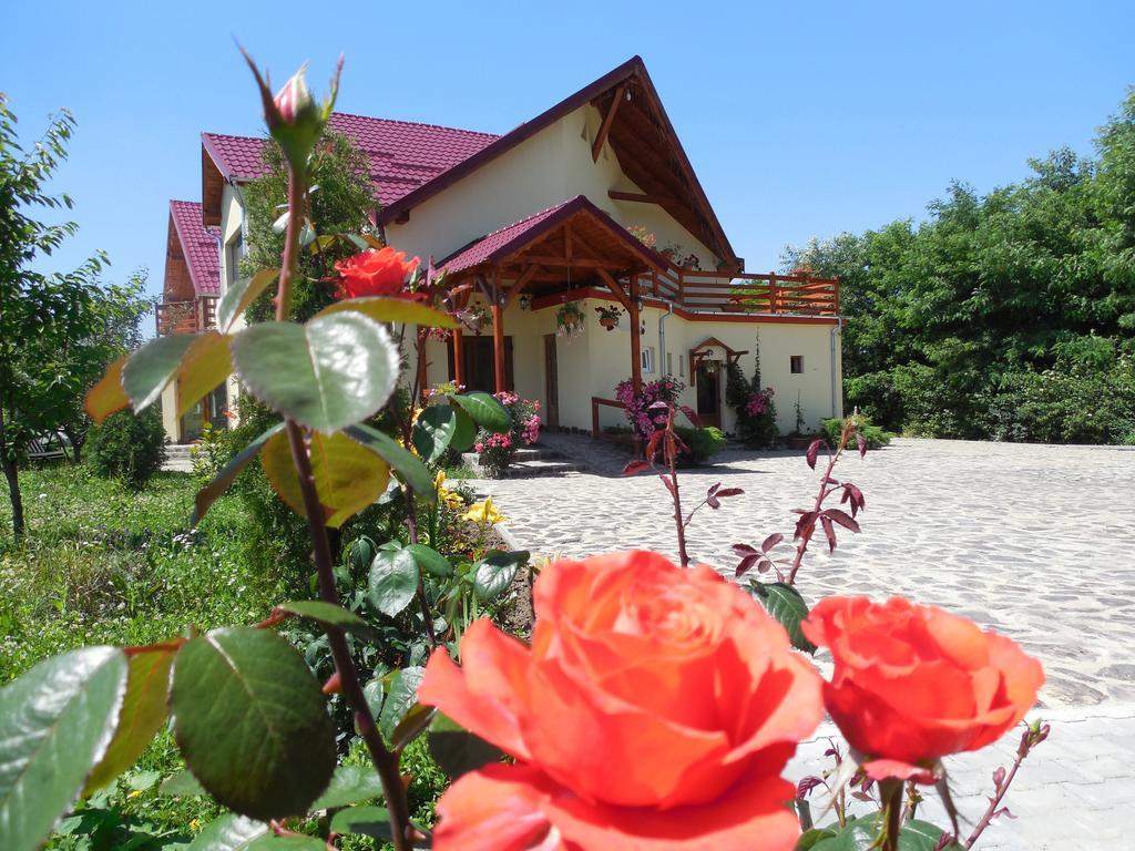 Casa Candea Guest house Sighisoara