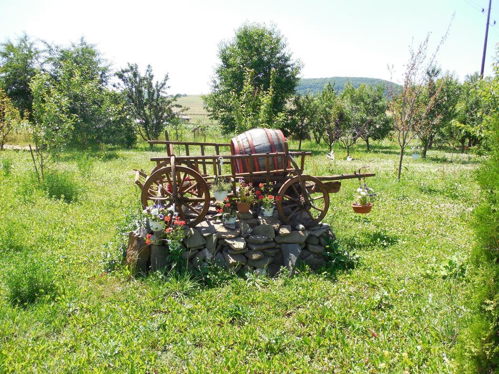Casa Candea 3*